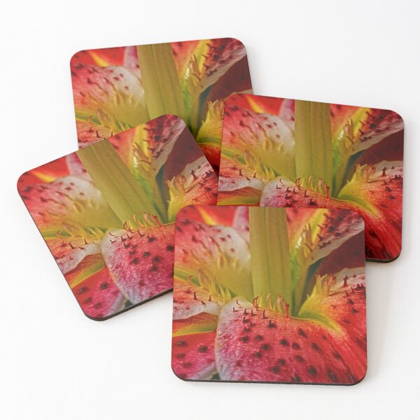 Item preview, Red Amaryllis blossom beauty up close designed and sold by Eckart Mayer Photography.