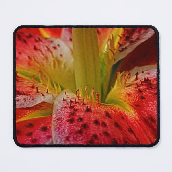 Item preview, Red Amaryllis blossom beauty up close designed and sold by Eckart Mayer Photography.