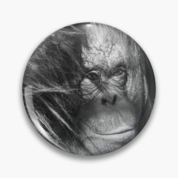 Item preview, Wild Wind Swept Orangutan in Black and White designed and sold by rawshutterbug.