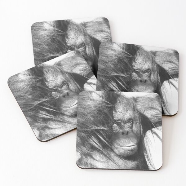 Item preview, Wild Wind Swept Orangutan in Black and White designed and sold by rawshutterbug.