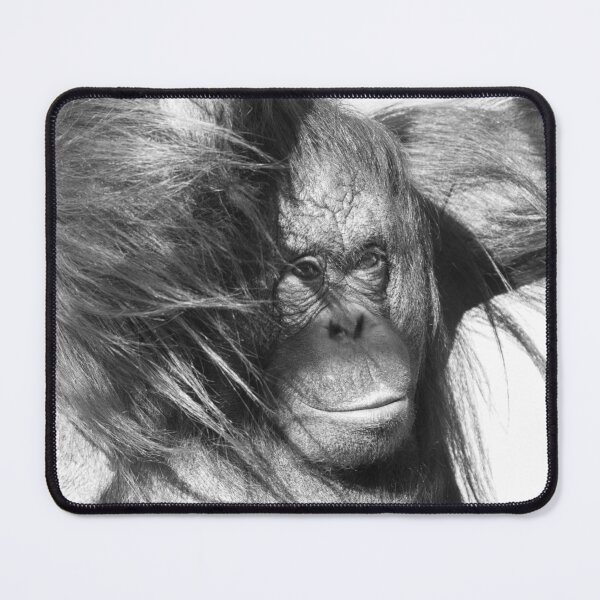 Item preview, Wild Wind Swept Orangutan in Black and White designed and sold by rawshutterbug.