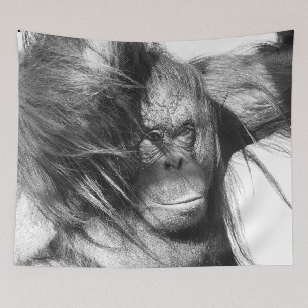 Item preview, Wild Wind Swept Orangutan in Black and White designed and sold by rawshutterbug.