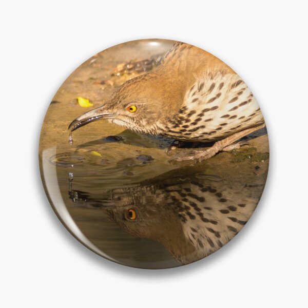 Item preview, Thrasher Drinking and Reflecting designed and sold by Debra Martz.