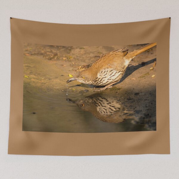 Item preview, Thrasher Drinking and Reflecting designed and sold by Debra Martz.