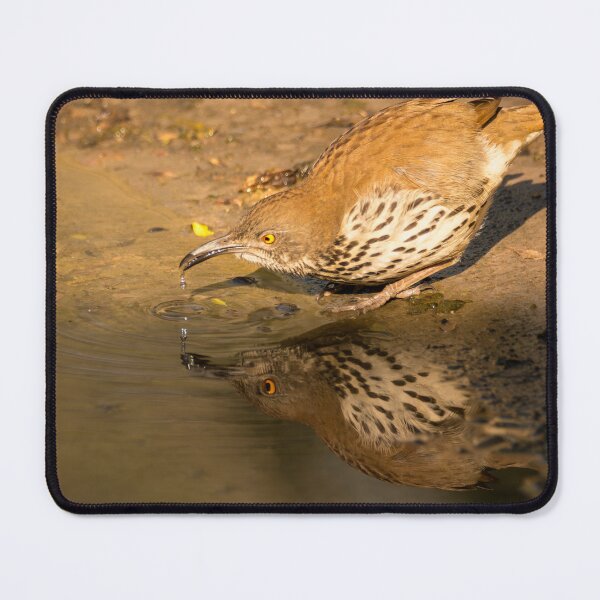 Item preview, Thrasher Drinking and Reflecting designed and sold by Debra Martz.