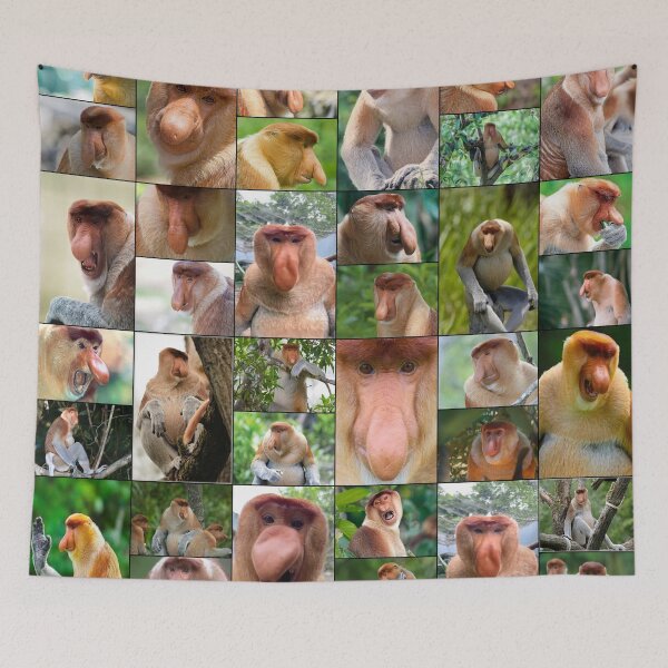 Item preview, Proboscis Monkey designed and sold by Montage-Madness.