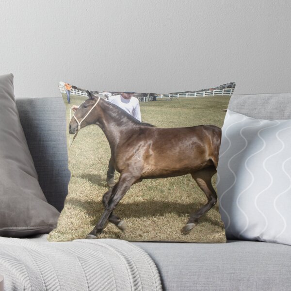 Item preview, tamed horse designed and sold by felipequeiroz.