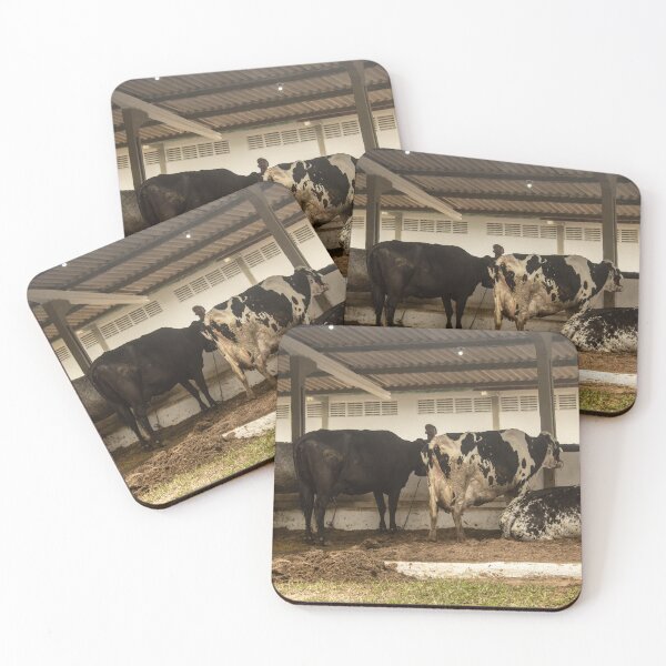 Item preview, cows eating in the stable designed and sold by felipequeiroz.