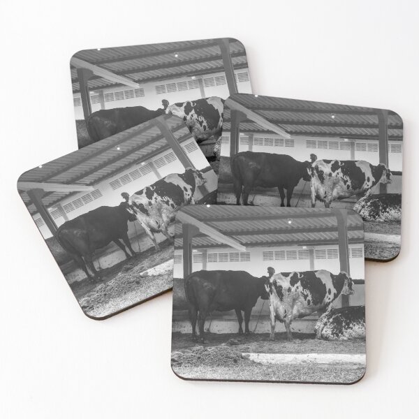 Item preview, cows eating in the stable 2 designed and sold by felipequeiroz.
