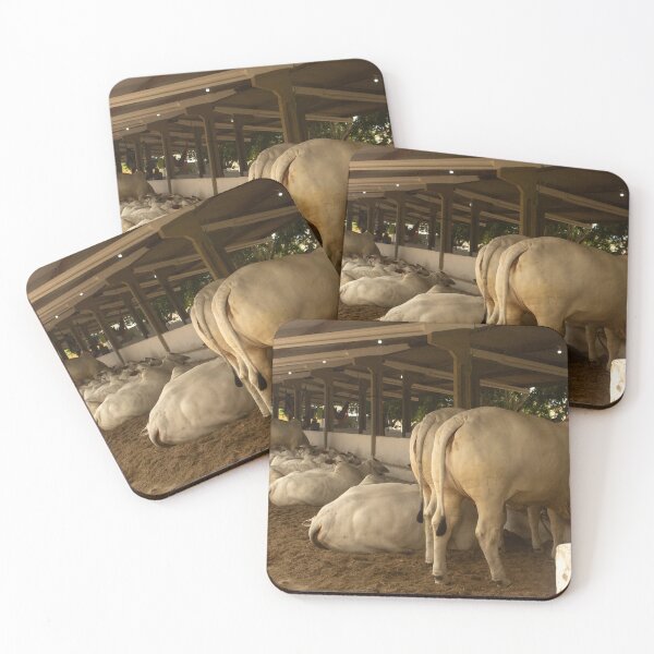 Item preview, nelore eating in the stable  designed and sold by felipequeiroz.