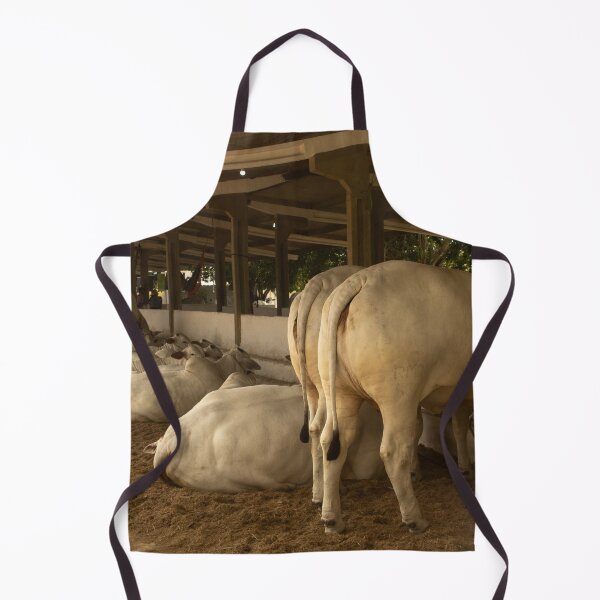 Item preview, nelore eating in the stable  designed and sold by felipequeiroz.
