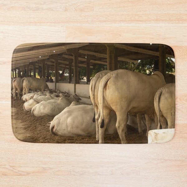 Item preview, nelore eating in the stable  designed and sold by felipequeiroz.