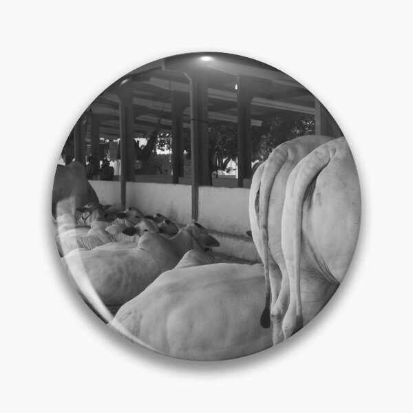 Item preview, nelore eating in the stable designed and sold by felipequeiroz.