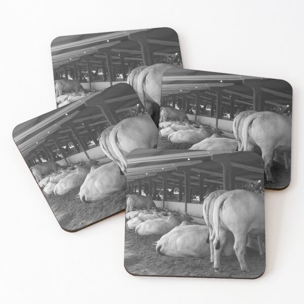 Item preview, nelore eating in the stable designed and sold by felipequeiroz.