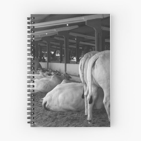 Item preview, nelore eating in the stable designed and sold by felipequeiroz.