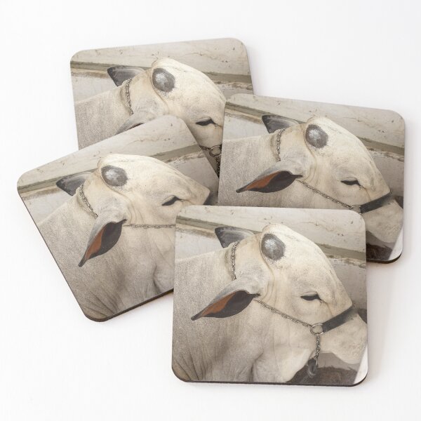 Item preview, pure nelore designed and sold by felipequeiroz.