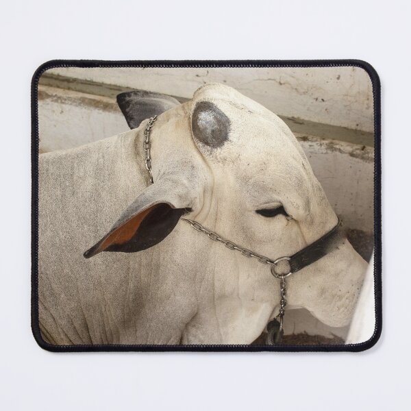 Item preview, pure nelore designed and sold by felipequeiroz.