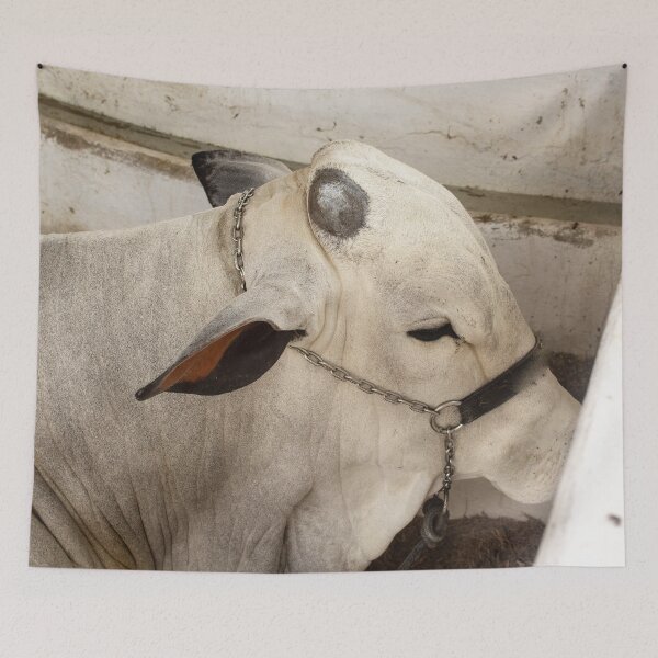 Item preview, pure nelore designed and sold by felipequeiroz.