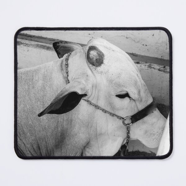 Item preview, pure nelore 2 designed and sold by felipequeiroz.