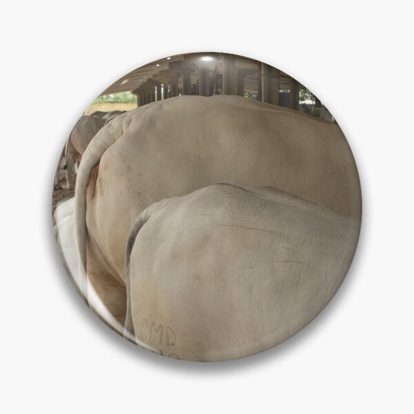 Item preview, nelores eating in the stable designed and sold by felipequeiroz.