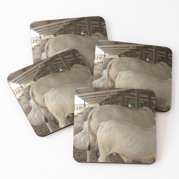 Item preview, nelores eating in the stable designed and sold by felipequeiroz.