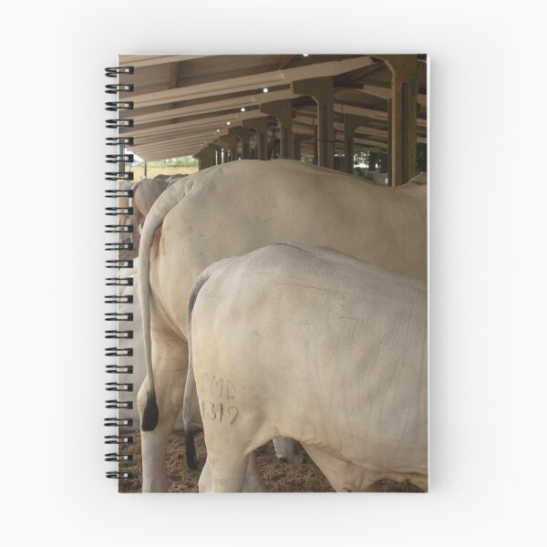 Item preview, nelores eating in the stable designed and sold by felipequeiroz.