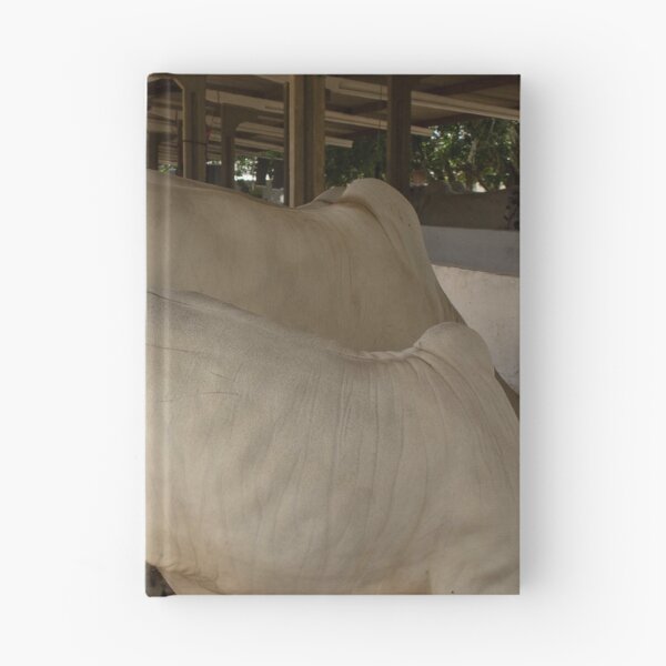 Item preview, nelores eating in the stable designed and sold by felipequeiroz.