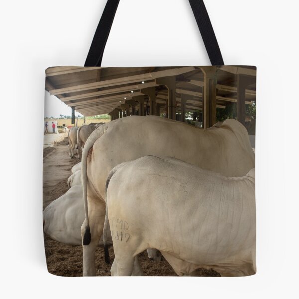 Item preview, nelores eating in the stable designed and sold by felipequeiroz.