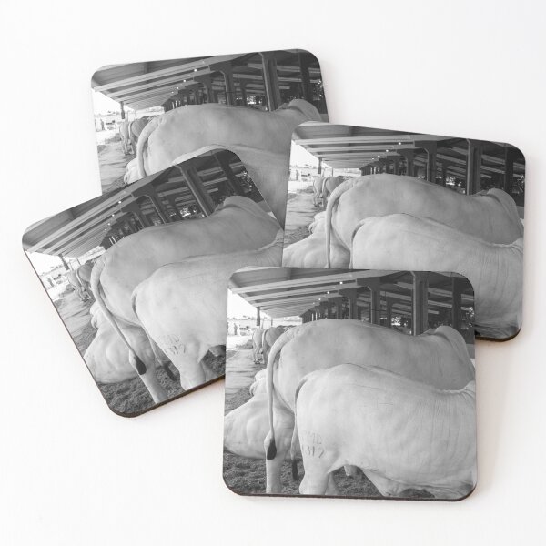 Item preview, nelore eating in the stable 4 designed and sold by felipequeiroz.