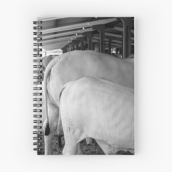 Item preview, nelore eating in the stable 4 designed and sold by felipequeiroz.