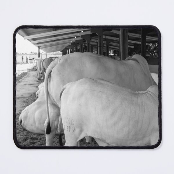 Item preview, nelore eating in the stable 4 designed and sold by felipequeiroz.
