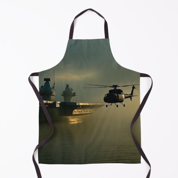 Item preview, HMS Prince of Wales and the Merlin designed and sold by Skyframe Aviation.