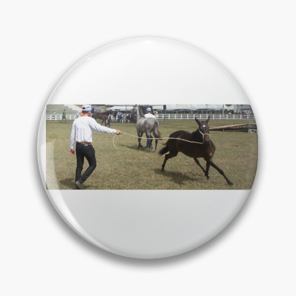 Item preview, taming a horse designed and sold by felipequeiroz.