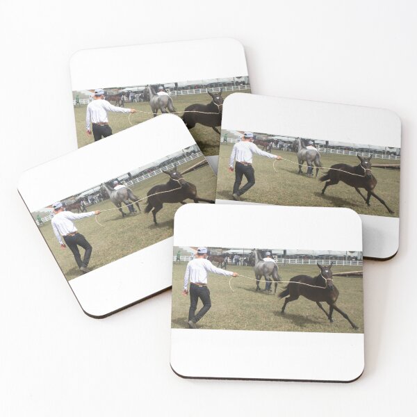 Item preview, taming a horse designed and sold by felipequeiroz.