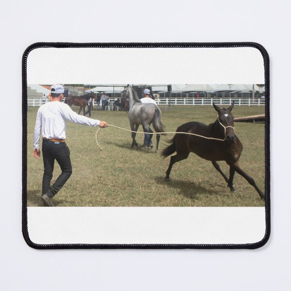 Item preview, taming a horse designed and sold by felipequeiroz.