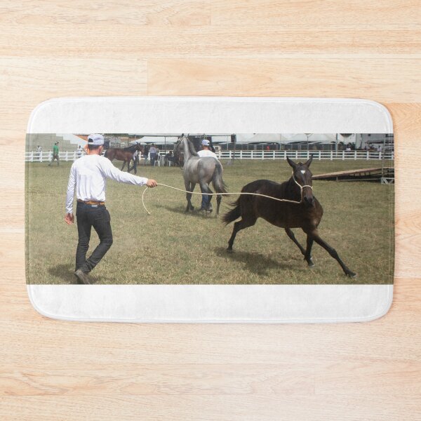 Item preview, taming a horse designed and sold by felipequeiroz.