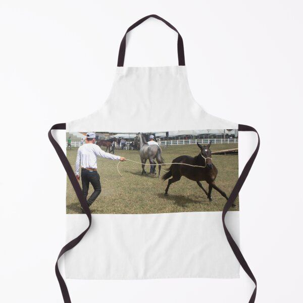 Item preview, taming a horse designed and sold by felipequeiroz.