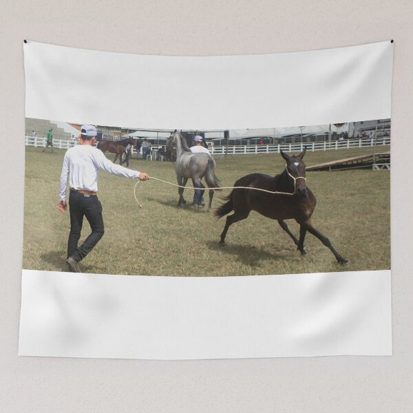 Item preview, taming a horse designed and sold by felipequeiroz.