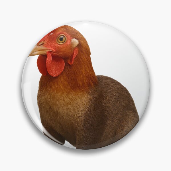 Item preview, CHIKKOTTER 9000! designed and sold by brainrotmeme.