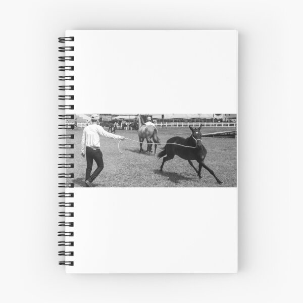 Item preview, taming a horse 2 designed and sold by felipequeiroz.