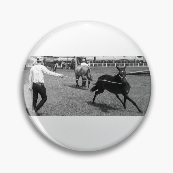 Item preview, taming a horse 2 designed and sold by felipequeiroz.