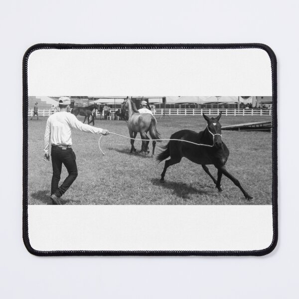 Item preview, taming a horse 2 designed and sold by felipequeiroz.