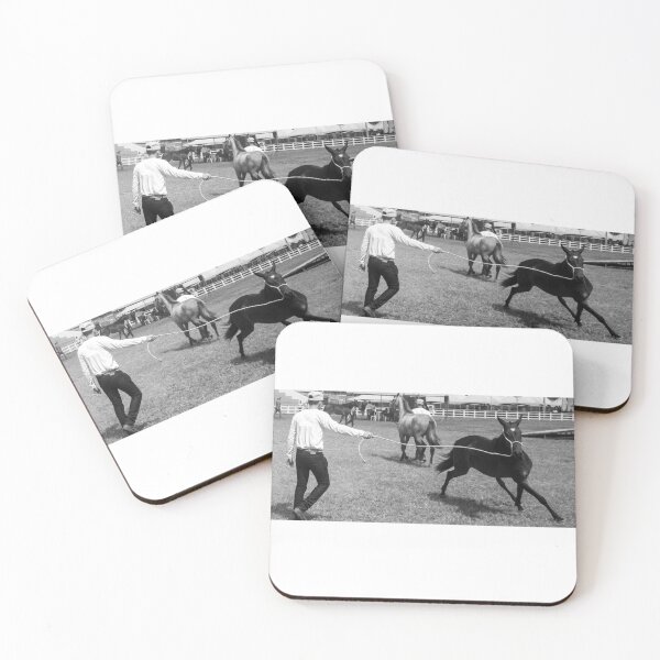 Item preview, taming a horse 2 designed and sold by felipequeiroz.