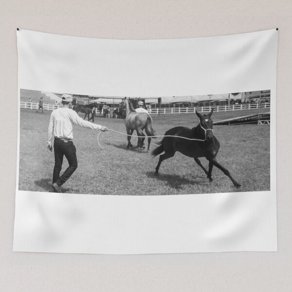 Item preview, taming a horse 2 designed and sold by felipequeiroz.