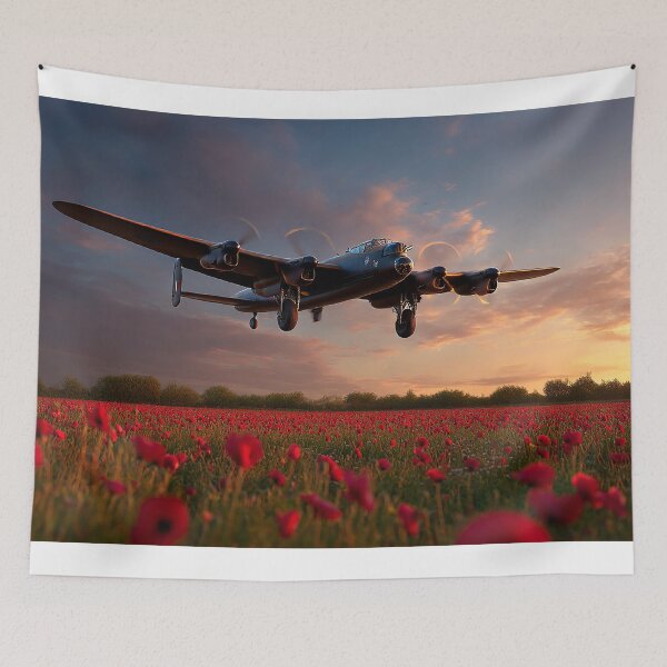 Item preview, Lancaster Poppy Approach designed and sold by Skyframe Aviation.