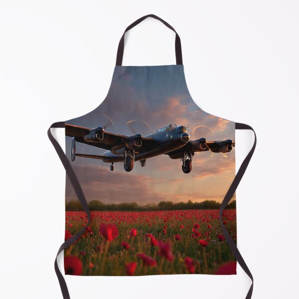Item preview, Lancaster Poppy Approach designed and sold by Skyframe Aviation.