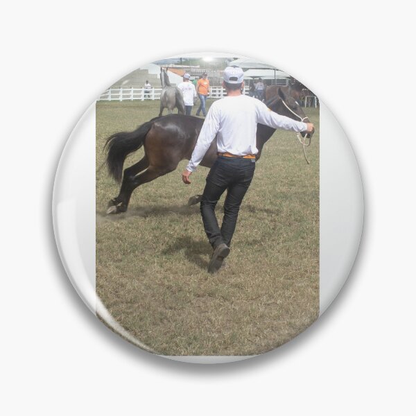 Item preview, taming the horse designed and sold by felipequeiroz.