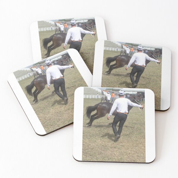 Item preview, taming the horse designed and sold by felipequeiroz.