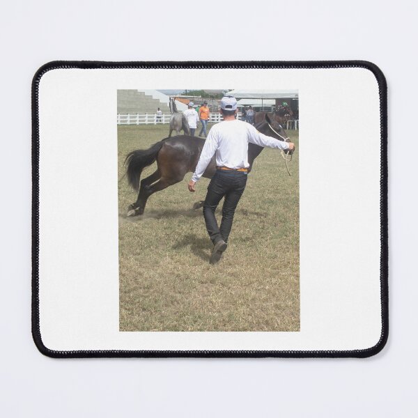Item preview, taming the horse designed and sold by felipequeiroz.