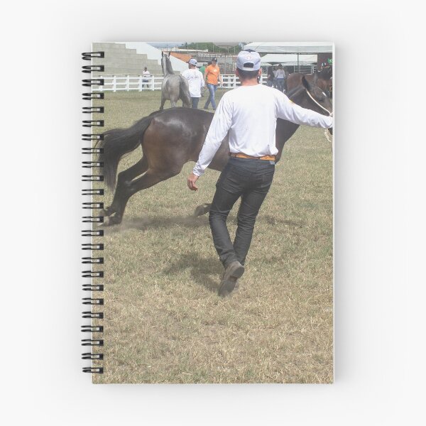 Item preview, taming the horse designed and sold by felipequeiroz.